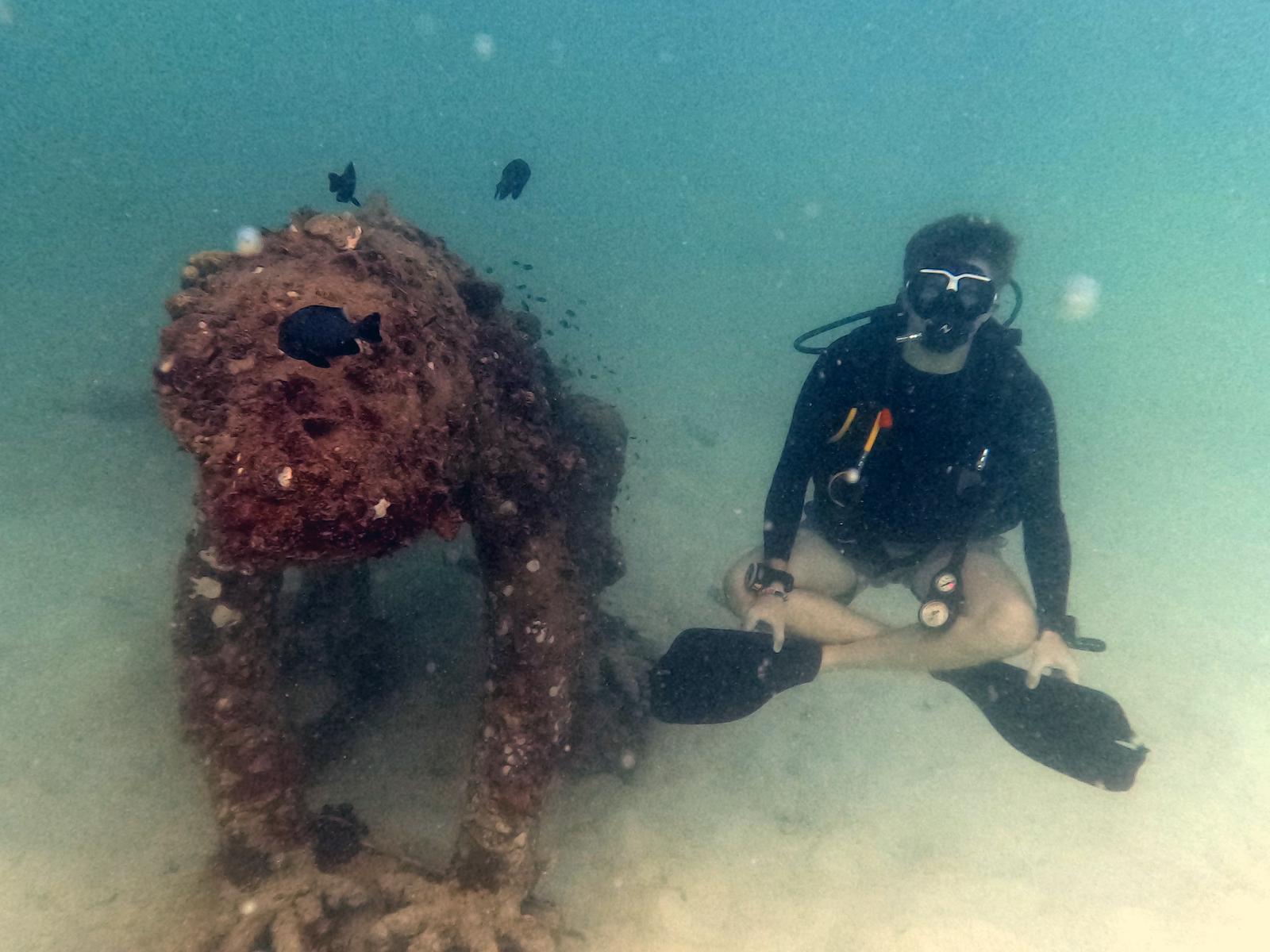 Scuba diving at Koh Tao